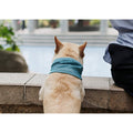 WagSteady Chill Band — Ice-Silk Cooling Bandana (Set of 2)