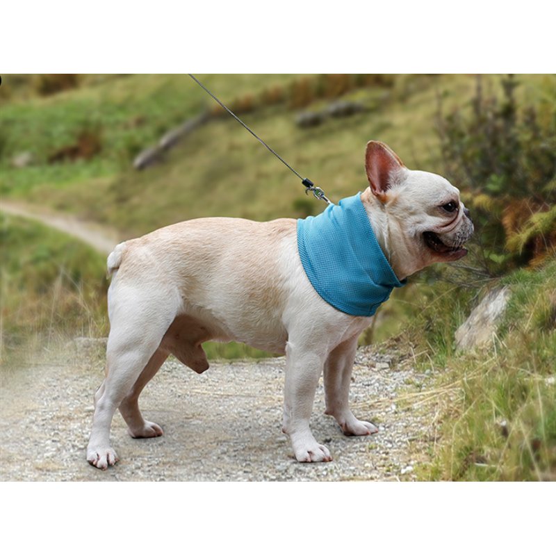 WagSteady Chill Band — Ice-Silk Cooling Bandana (Set of 2)