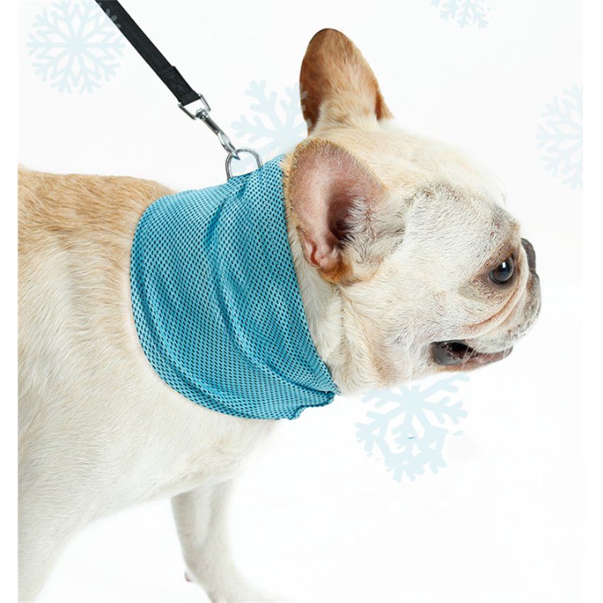 WagSteady Chill Band — Ice-Silk Cooling Bandana (Set of 2)