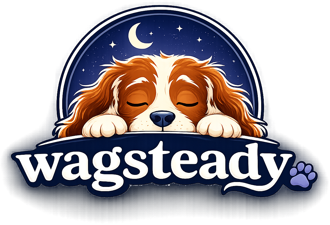 WagSteady - Home
